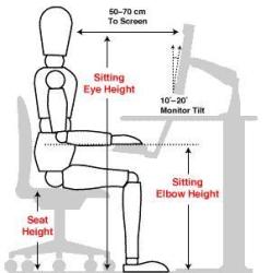 Workstation Ergonomics