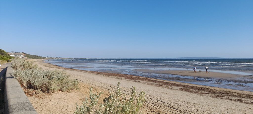 Mentone Beach to Parkdale Beach via Bay Trail | Walking, Running, and Riding Trails in the Bayside Area